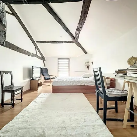 Apartamento Duplex Cosy 85 M2 Hyper Centre