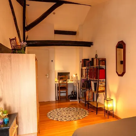 Duplex Cosy 85 M2 Hyper Centre * Châlons-en-Champagne