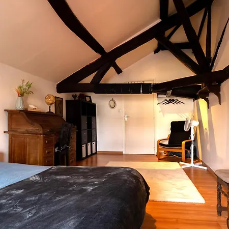 Duplex Cosy 85 M2 Hyper Centre